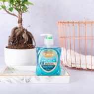 CAREX HANDWASH PROTECT MARINE skystas rankų muilas 250 ml