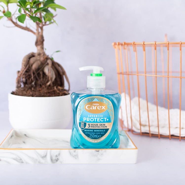 CAREX HANDWASH PROTECT MARINE skystas rankų muilas 250 ml