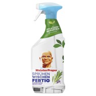MEISTER PROPER SPRAY GLAS stiklų valiklis 800 ml