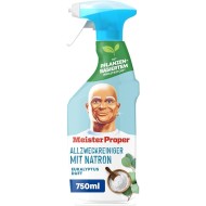 MEISTER PROPER ALLZWECKREINIGER SPRAY MIT NATRON universalus valiklis su soda 750 ml