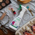 HEITMANN purškiamas dėmių išėmėjas su tulžimi 250 ml