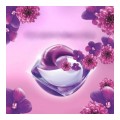 LENOR PODS 3in1 AMETHYST BLUTENTRAUM skalbimo kapsulės 38 vnt