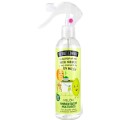 THE FRUIT COMPANY MULTI-PURPOSE SPRAY MELON purškiamas oro gaiviklis 250 ml