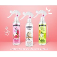 THE FRUIT COMPANY MULTI-PURPOSE SPRAY MELON purškiamas oro gaiviklis 250 ml